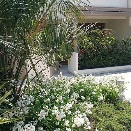 Lido Centro Con Piscina 아파트